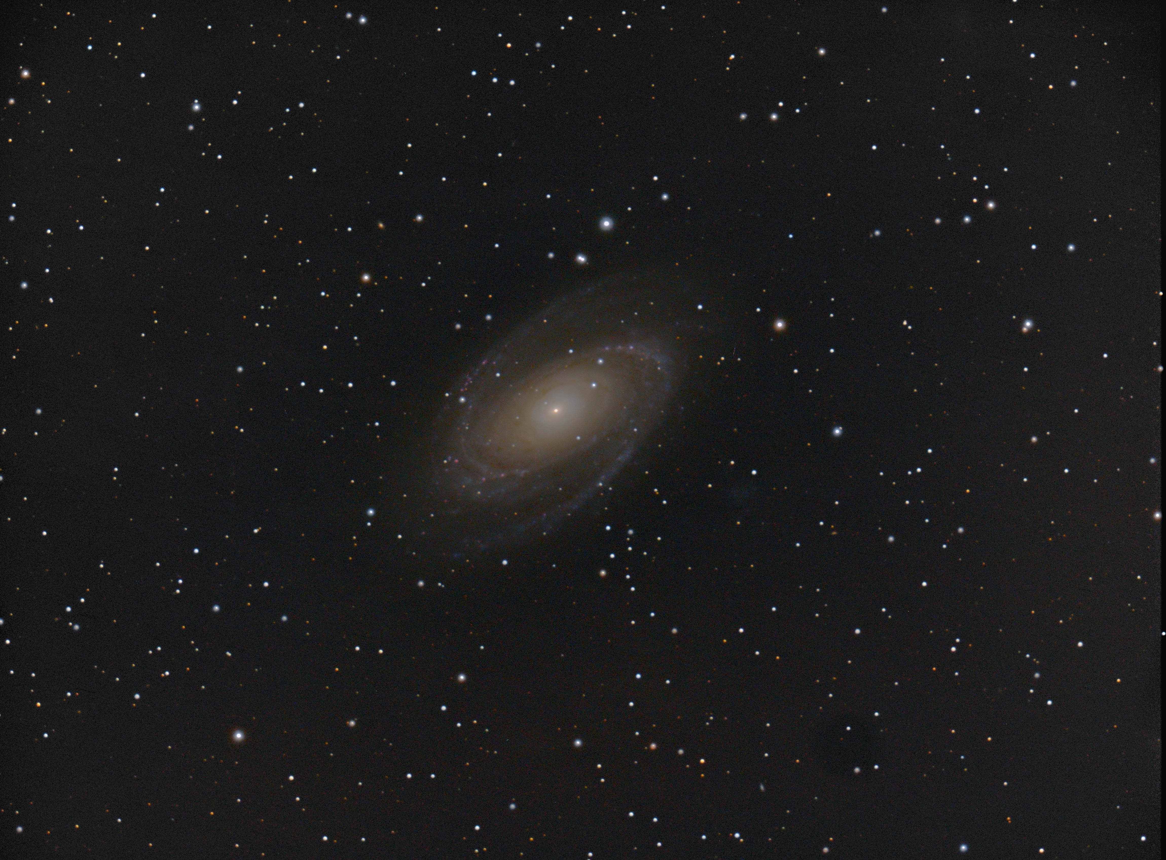 M81 am 29.03.2019.