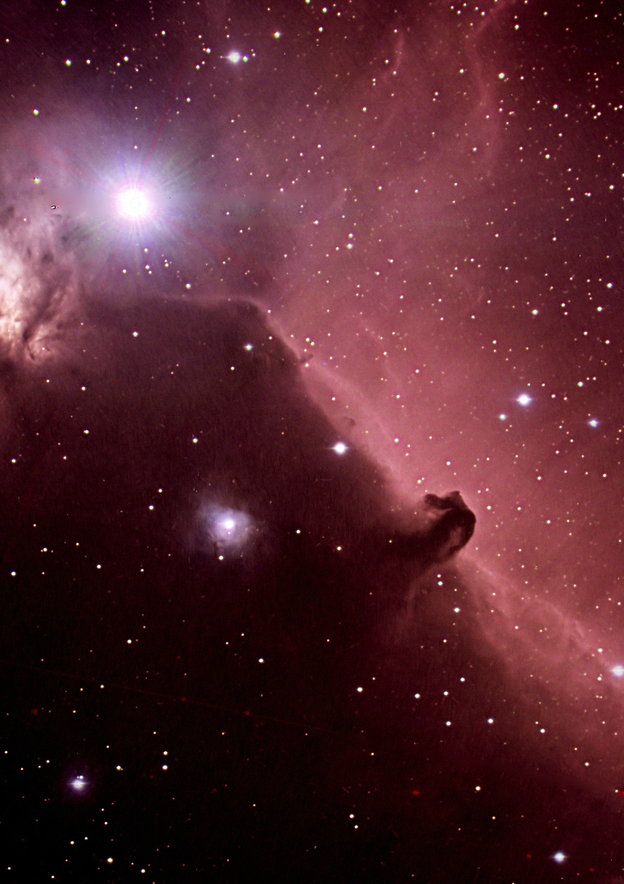 horsehead-280106-web.jpg (1134101 Byte)