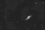 ngc4088-220406-webvorschau.jpg (18396 Byte)